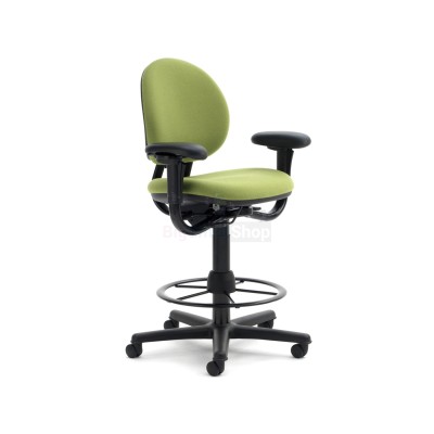 Рабочий стул ErgoPlus - купить в Шижне